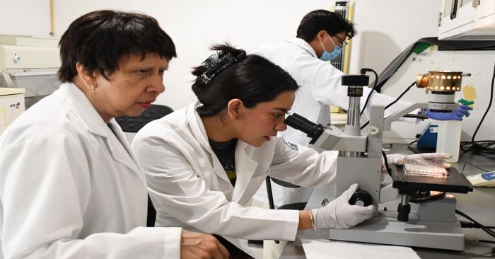Predicen y describen investigadores BUAP la regeneración epitelial