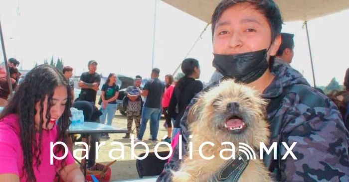 Indagan ayuntamiento de Texmelucan y FGE envenenamiento de perros en Tecaltzingo