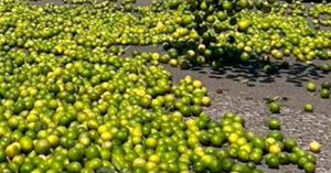 Asesinan a otro empreario limonero, ahora en Veracruz