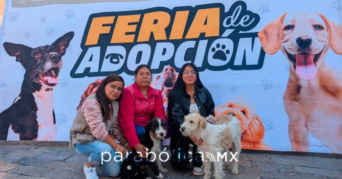 Invitan a asistir a la Feria de adopción en Atlixco