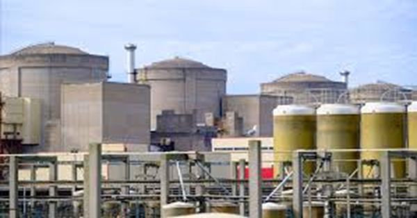 Cierran central nuclear en Francia por un enjambre de medusas