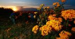 Viste Puebla a M&eacute;xico con flor y papel picado