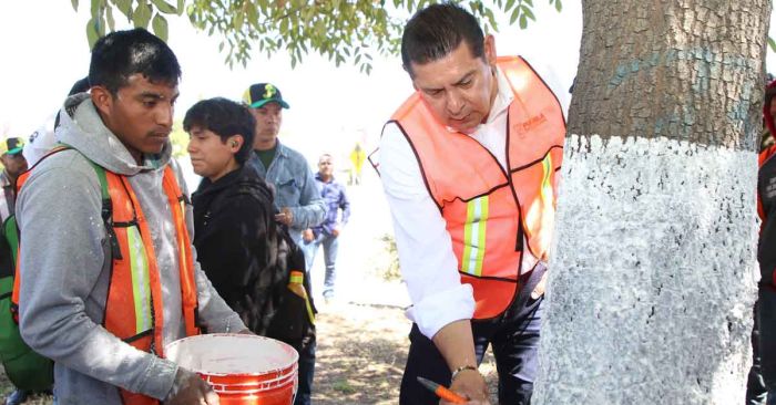 Protege gobierno de Puebla el arbolado urbano con encalado basado en criterios t&eacute;cnico-cient&iacute;ficos