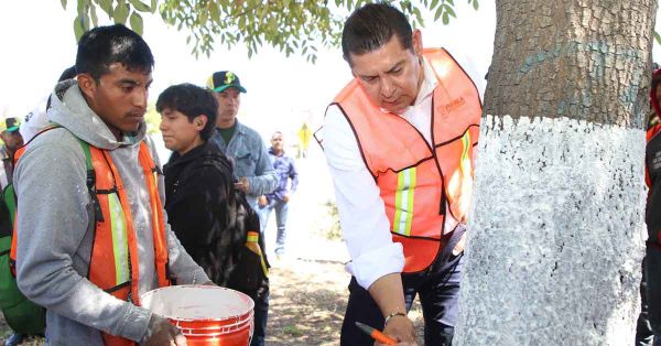 Protege gobierno de Puebla el arbolado urbano con encalado basado en criterios técnico-científicos
