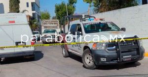 Avistan un jaguar cerca del Rastro Municipal