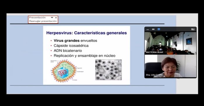 Considera Lilia Cedillo a las enfermedades infecciosas como un problema recurrente en el país