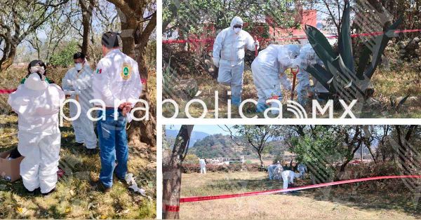 Indaga Fiscalía presunto caso de crueldad en Zacatlán