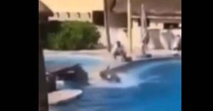 Suspende Profepa actividades en delfinario del Hotel Barcel&oacute; Riviera Maya