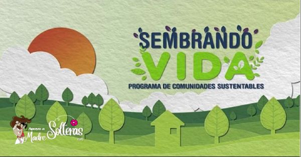 Inicia la Jornada Nacional de Reforestación del programa Sembrando Vida