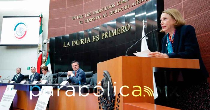 Debe México avanzar en producción de gas natural y energías renovables: Laura Itzel Castillo