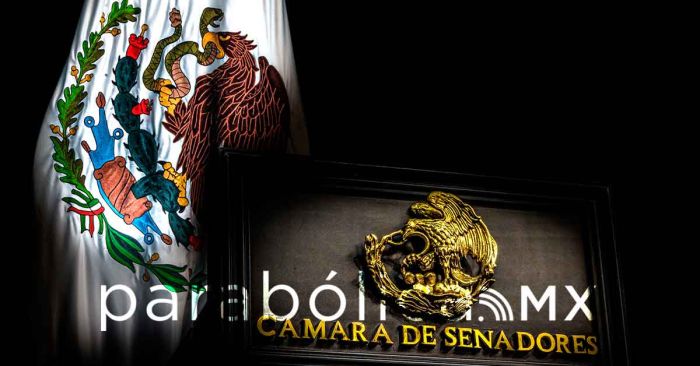 Exige Senado que Israel salvaguarde la integridad y seguridad de la Flotilla Global Sumud