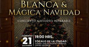 Ilumina "Blanca M&aacute;gica Navidad" el Z&oacute;calo de Puebla