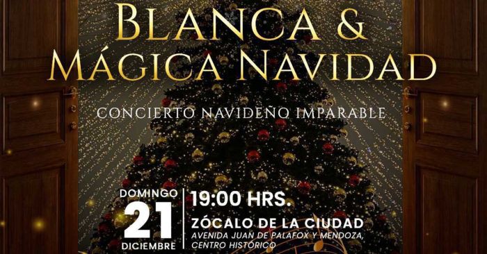 Ilumina "Blanca M&aacute;gica Navidad" el Z&oacute;calo de Puebla