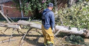 Atienden en San Pedro Cholula afectaciones por frente frío 13