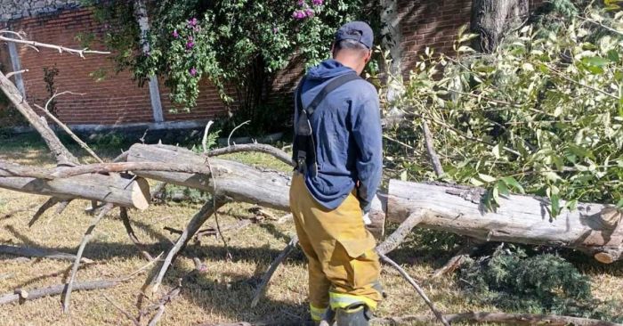 Atienden en San Pedro Cholula afectaciones por frente frío 13