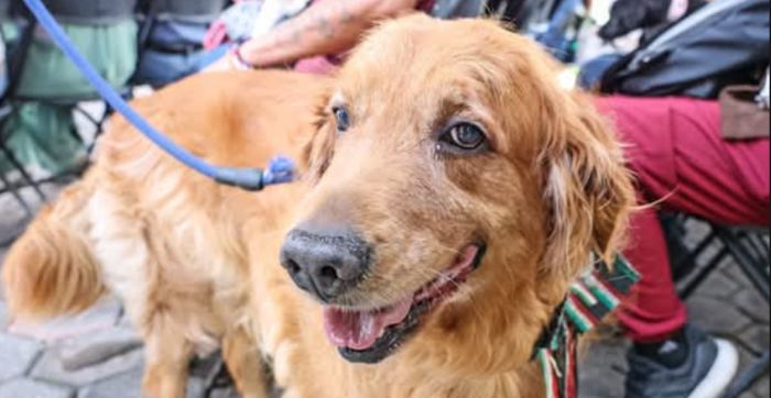 Arranca Omar Mu&ntilde;oz a la construcci&oacute;n del Centro de Bienestar Animal