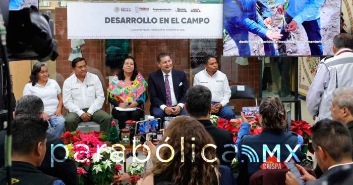 Se consolida a Atlixco como líder nacional en producción de Nochebuena: Armenta en CDMX