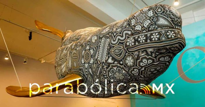 Recorre Pepe Chedraui la exposici&oacute;n &ldquo;El Murmullo de los Oc&eacute;anos&rdquo; en Palacio Municipal