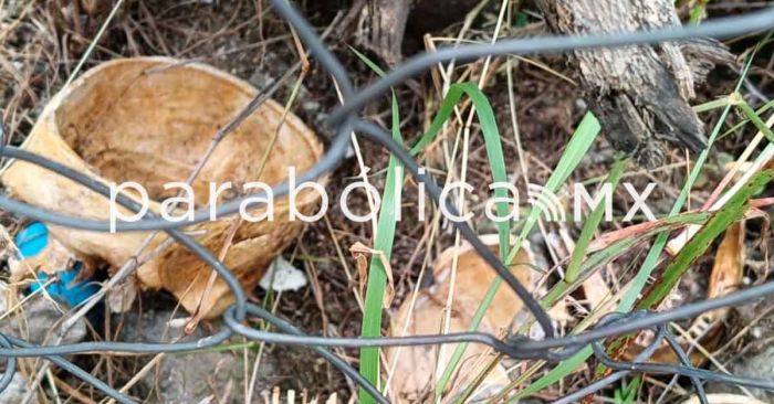 Descarta FGE que el cráneo hallado en Izúcar sea humano