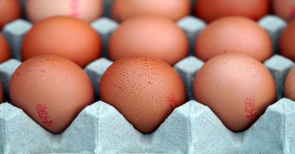 Hace Profeco recomendaciones para elegir y conservar el huevo