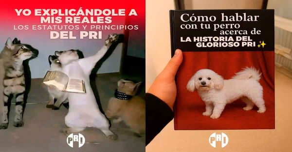 Ironía con sabor a Bachoco en la campaña digital del PRI