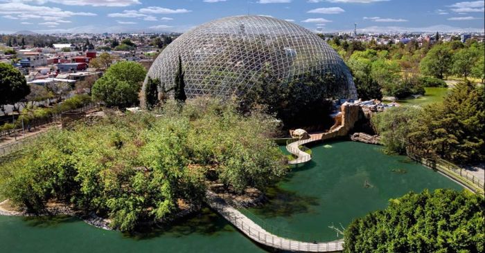 Ap&uacute;ntate a las clases de nataci&oacute;n en el Parque Ecol&oacute;gico