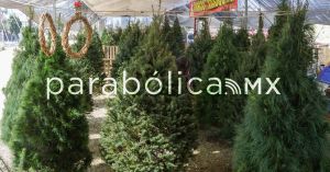 Emite Ayuntamiento de Puebla recomendaciones para una instalaci&oacute;n segura del &aacute;rbol de navidad