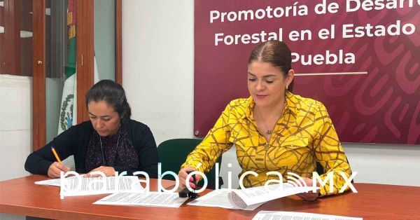 Unen fuerzas para combatir plagas forestales el ayuntamiento de Zacatlán y CONAFOR