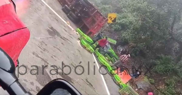 Vuelca tráiler con pollos en las Cumbres de Maltrata; reportan rapiña