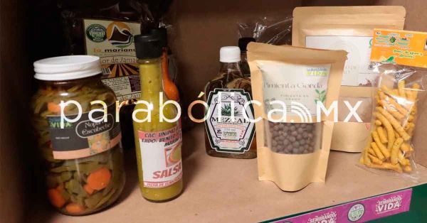 Trabaja Bienestar en la comercializaci&oacute;n de la producci&oacute;n del programa Sembrando Vida