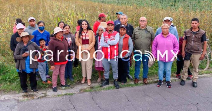 Arranca Tonantzin Fern&aacute;ndez la rehabilitaci&oacute;n del alumbrado p&uacute;blico en todo el municipio