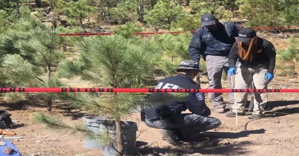 Localizan &lsquo;narco cementerio&rsquo; en la Sierra Tarahumara