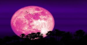 Habrá luna rosa en este mes de abril