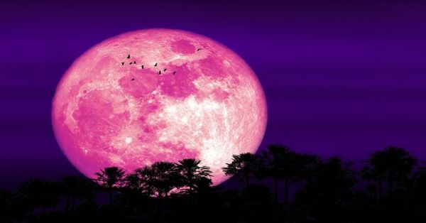 Habrá luna rosa en este mes de abril