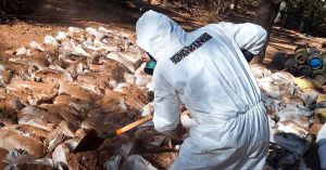 Desmantela Marina un mega laboratorio clandestino en Zacatecas