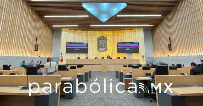 Busca Congreso proteger abejas y evitar riesgos en zonas urbanas