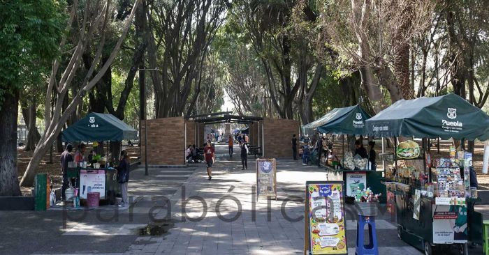 Analizan permisos para comercio ambulante en Paseo Bravo por D&iacute;a de Muertos