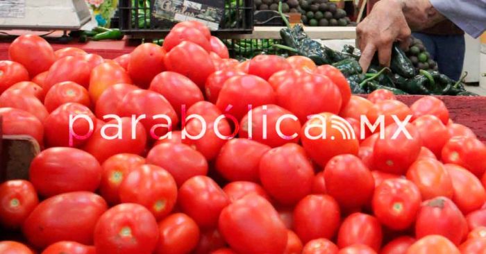 Reprocha Sheinbaum nuevo gravamen al jitomate en Estados Unidos