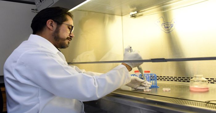 Estudia científico BUAP relación estructura-función en las células cardiacas