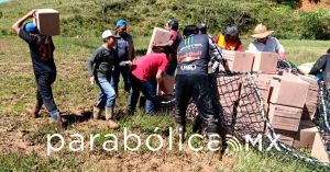 Calculan 300 mil personas damnificadas en la zona norte de Veracruz