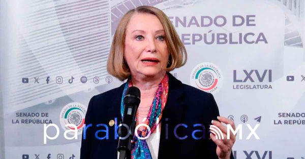 Eliminar&aacute; Senado viajes al extranjero y se ajustar&aacute;n a la austeridad: Laura Itzel Castillo