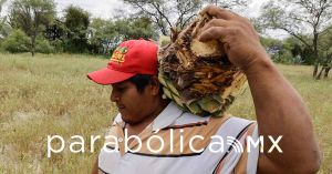 Participar&aacute;n nueve marcas de Mezcal Poblano en el &ldquo;Wine Paris 2025&rdquo;: SDR