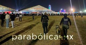 Reporta San Andrés Cholula saldo blanco en Festival Tecate Comuna
