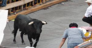 Deja ocho heridos la Huamantlada 2025; uno de ellos está grave