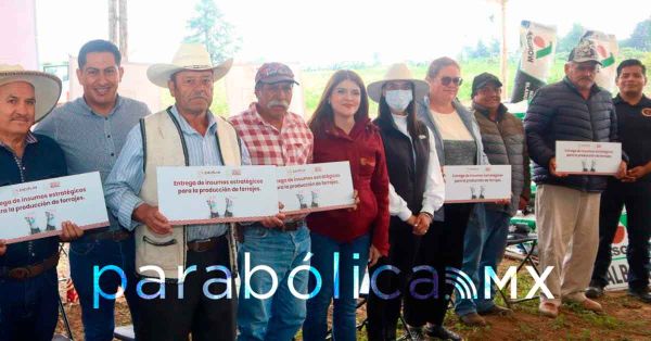 Arranca Bety Sánchez entrega de maíz mejorado para forraje en Ayotla, Zacatlán