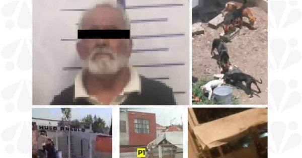 Detiene FGE a Porfirio N. por maltrato animal en San Miguel La Venta