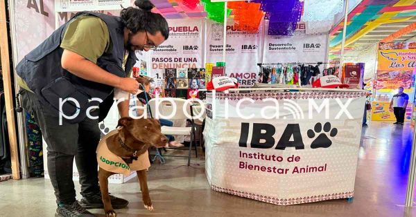 Promueve Bienestar Animal cultura de cuidado en la Feria de Puebla 2025