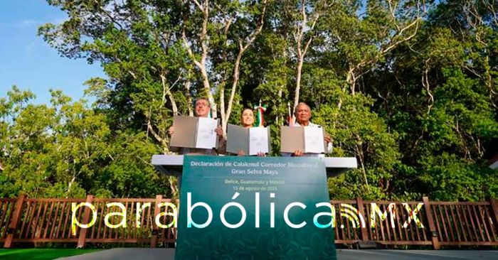 Manda Corredor Biocultural Gran Selva Maya, un mensaje de conservación al mundo: Sheinbaum