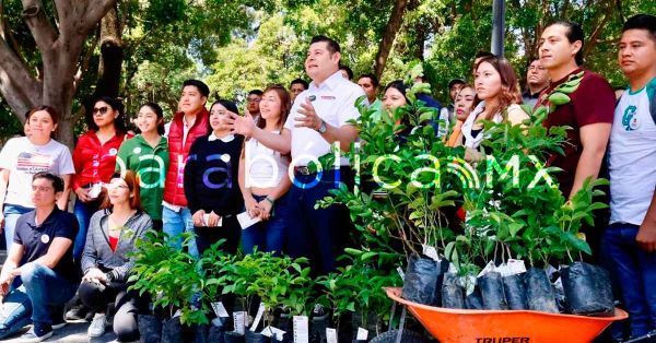 Protege Puebla sus montañas y frena destrucción ambiental: Armenta