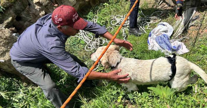 Rescatan a perrito que cayó a pozo en San Luis Tehuiloyocan